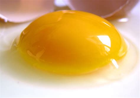 Pasteurized egg yolk – NutraWiki