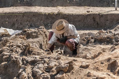 What Archaeology Is and How to Become an Archaeologist