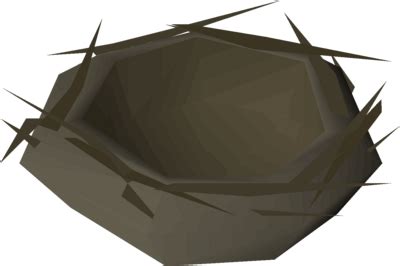 Bird nest (empty) - OSRS Wiki