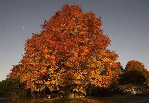 10 videos to help you make the most of your Michigan autumn - mlive.com