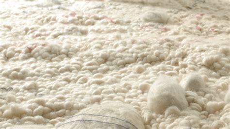 Wool Carpet Fiber Review: The Pros and Cons