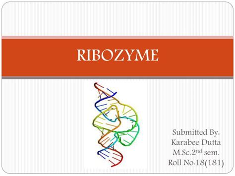 PPT - RIBOZYME PowerPoint Presentation, free download - ID:2778396