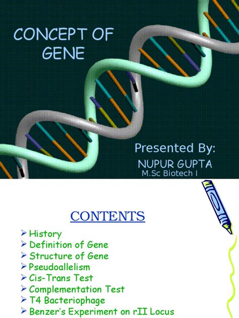 Concept of Gene | Gene | Allele