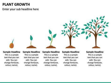 Plant Growth PowerPoint and Google Slides Template - PPT Slides