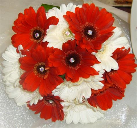 White and Red Gerbera Bouquet - Bouquet Wedding Flower