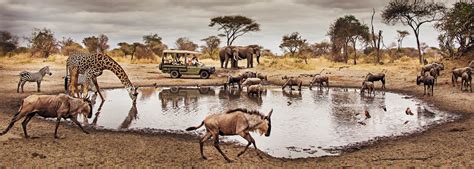 East Africa safaris tours | east Africa safaris | Uganda safaris ...