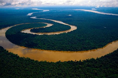 El Amazonas: el último pulmón del mundo - Solagro