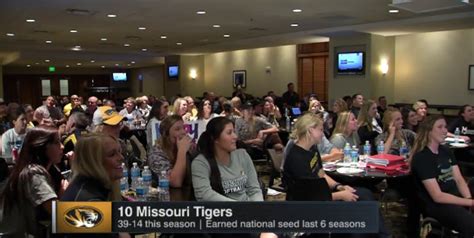 Mizzou Softball set to host seventh consecutive NCAA Regional, face ...