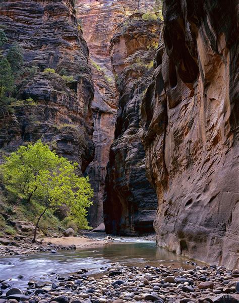 The Narrows of the Virgin River - Scott Walton Photographs