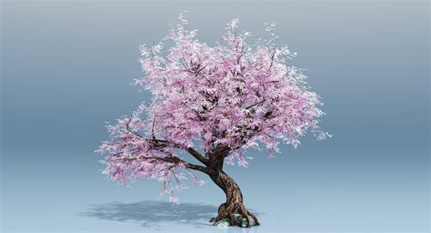 Cherry Blossom Tree Free 3D Models FBX - .fbx download - Free3D