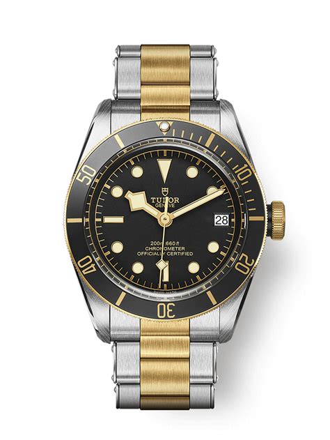 Discover the TUDOR Black Bay S&G Watch - m79733n-0008 | Tudor black bay, Tudor heritage black ...