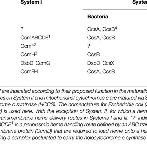 | Prototypical components of cytochrome c maturation pathways ...