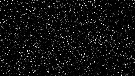 Download A Black And White Background With Snowflakes Falling | Wallpapers.com