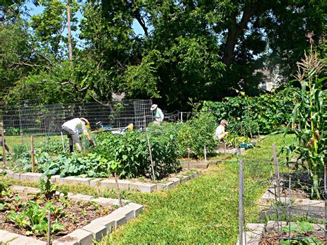 The Basics on Starting a Community Garden - Urban Harvest