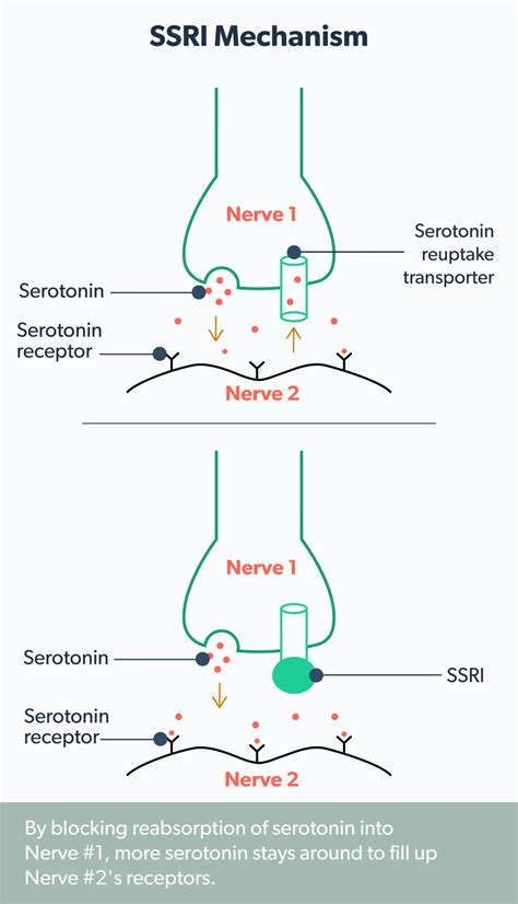 SSRIs: Everything You Need to Know | Ro