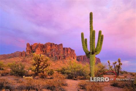 Landscape Photos – Southwest Desert