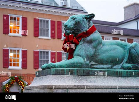 PRINCETON, NJ -5 DEC 2021- View of the bronze tiger statue in Palmer ...