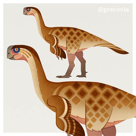 Greco Westermann on Twitter: "Some feathered theropods! Gigantoraptor, Yutyrannus ...