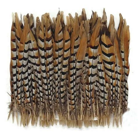 Aliexpress.com : Buy 50PCS/LOT!14 16" 35 40cm Pheasant Feathers, Natural Reeves Venery Pheasant ...