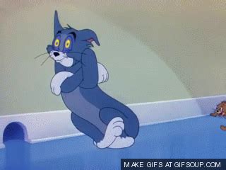 Video: Conozcan al 'Tom y Jerry' de la vida real