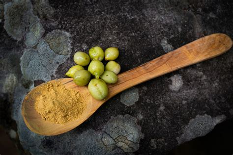 Native Kakadu Plum Powder (Gubinge) from Australian Food Services