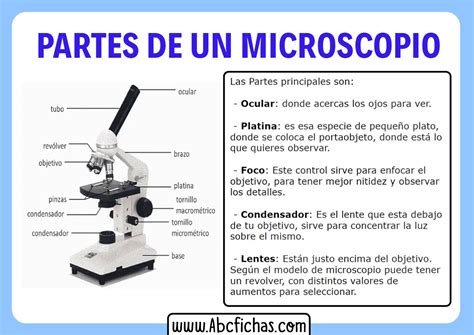 Microscopio Con Partes