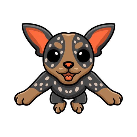 30+ Blue Heeler Dog Cartoon Stock Illustrations, Royalty-Free Vector Graphics & Clip Art - iStock