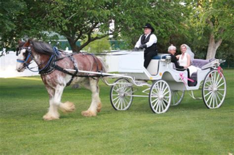 5 Must-Know Tips For Planning Your Wedding Transportation – Las Vegas ...