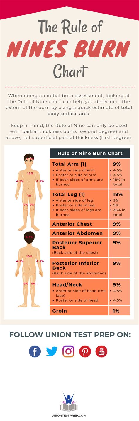 Burns in Adults: The Rule of Nine Chart | Nursing information, Critical care nursing, Medical ...