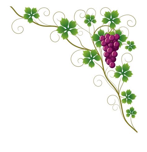 clipart grape vine border 10 free Cliparts | Download images on ...