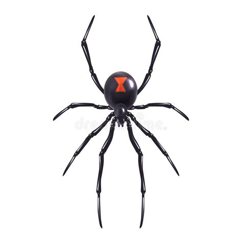 Realistic Spider Stock Illustrations – 4,729 Realistic Spider Stock Illustrations, Vectors ...