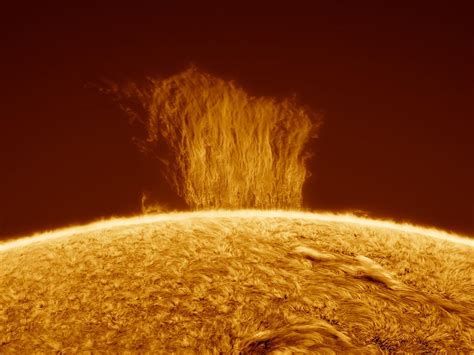 Dramatic image shows a 'plasma waterfall' on the sun that's 8 times the size of Earth