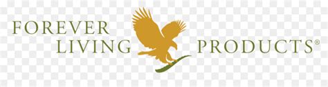 forever living logo png 10 free Cliparts | Download images on Clipground 2024