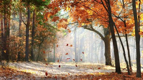 November Scenery Wallpapers - Top Free November Scenery Backgrounds ...