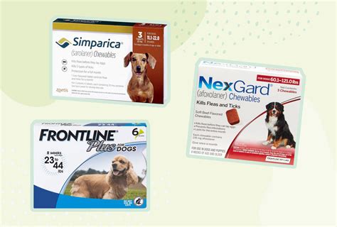 best heartworm flea and tick prevention for dogs, great sale Save 78% available - fae.ua.es