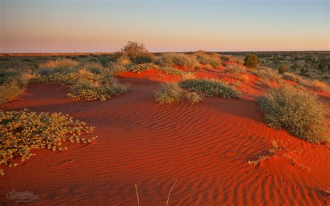 The stunning red desert | Australian desert, Landscape photos, Outback australia