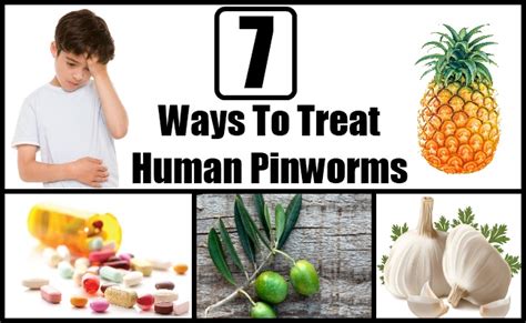 Pin Worms In Humans Treatment | Car Interior Design