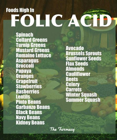 Folic Acid During Pregnancy - Top Folate Foods for Pregnancy - Test Blog