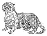 Otters Coloring Sheet Teaching Resources | TPT