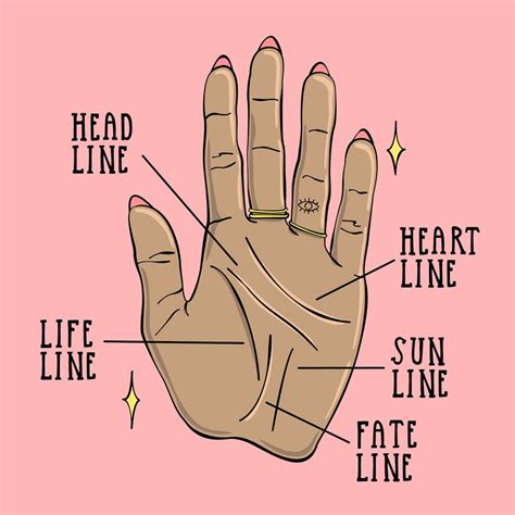 Palm Reading for Beginners: A Guide to Reading Palm Lines | Allure