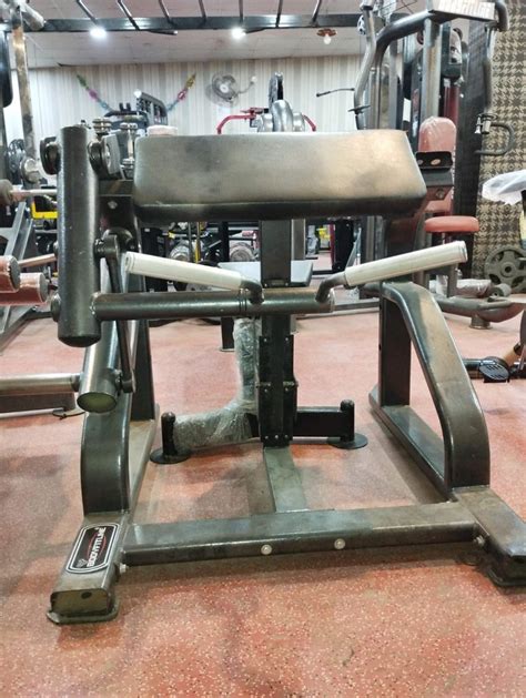 Bicep Curl Machine at Rs 18500 | Free Weight Machine in Jalandhar | ID ...