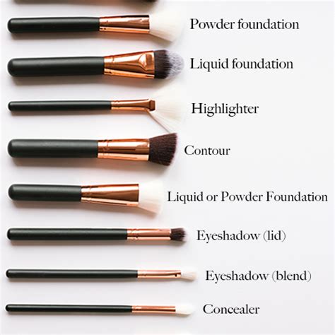 A Beginner’s Guide To Every Makeup Brush & What It’s Used For - SHEfinds