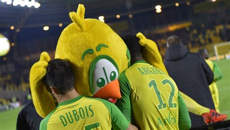 FC Nantes : les "Canaris", un surnom iconique aux origines incertaines - France Bleu