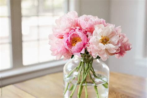 "Bouquet Of Pink Peonies In A Glass Vase In A Light Filled Room" by ...