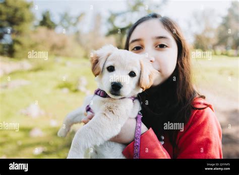 Smiling little girl embracing a golden retriever puppy in the park ...