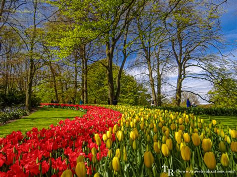 Keukenhof - the world's largest flower garden in Netherlands - A photo ...