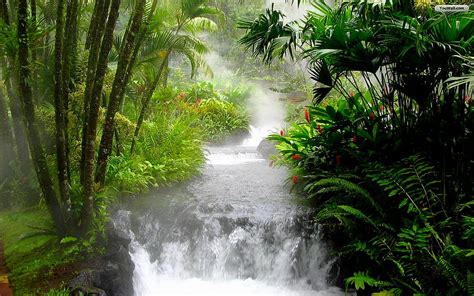 Waterfall Jungle - - HD wallpaper | Pxfuel