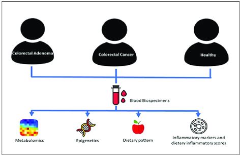 Simplified Diagram of Study Design | Download Scientific Diagram