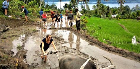 Explore local culture in Sumatra – Roni's Tours