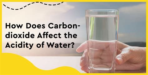 Does Carbon Dioxide Affect the Acidity of Water?